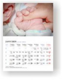 Pāršķiramais sienas kalendārs ar 12 lapām + vāks, metāla spirāle A4 (21X30cm)